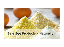 сухой яичный порошок (стандарт.)